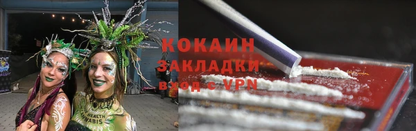 тгк Алексин