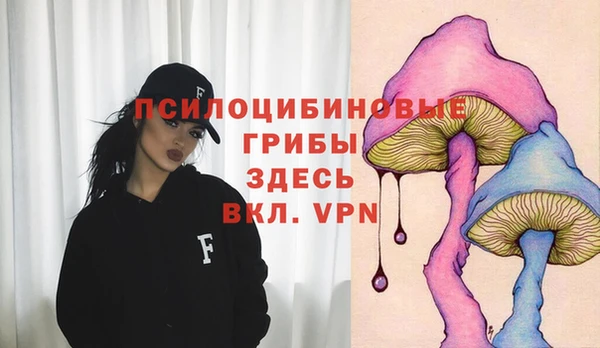 герыч Алзамай